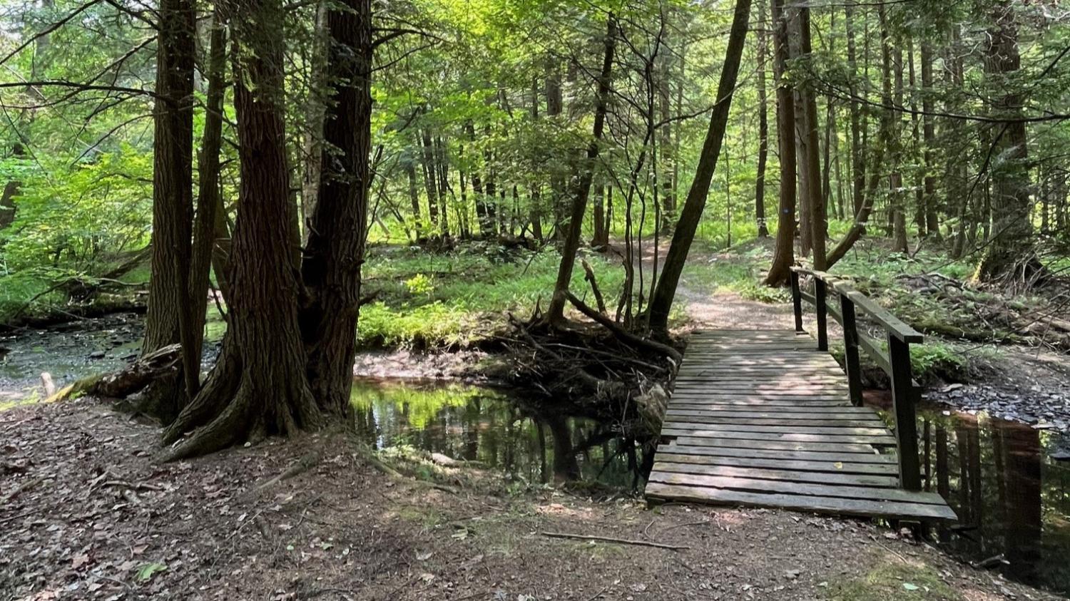 Sections of the Fred J. Cusimano Westside Overland Trail in Chautauqua County will see significant upgrades and improvements in the coming months, thanks to a series of recently received grants from various local and regional foundations. (Submitted Photo)