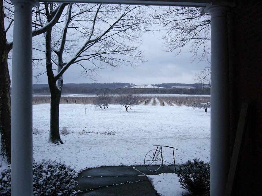 a vineyard located in Chautauqua County, New York